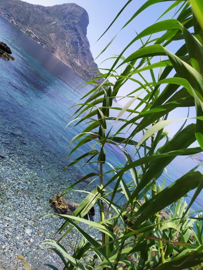 Fatolitis Studios Masouri Dış mekan fotoğraf